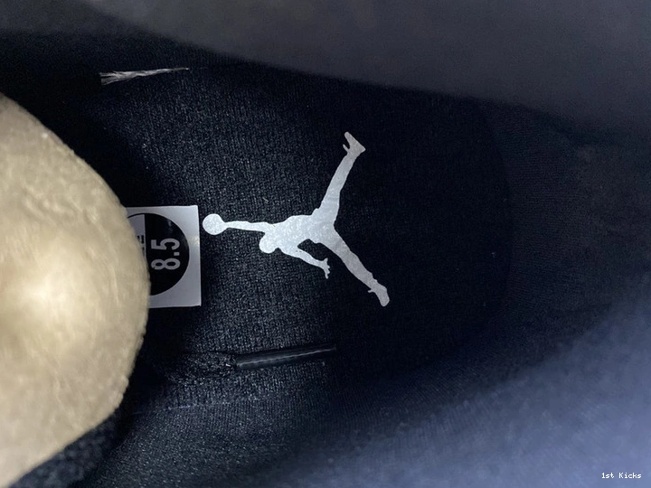 1 554724-069 AJ1 Jordan Chicago  Air Mid 0313